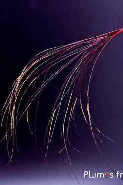 Anhänger aus Pfauenfaden - 15-28 cm - karminrot-naturgrün